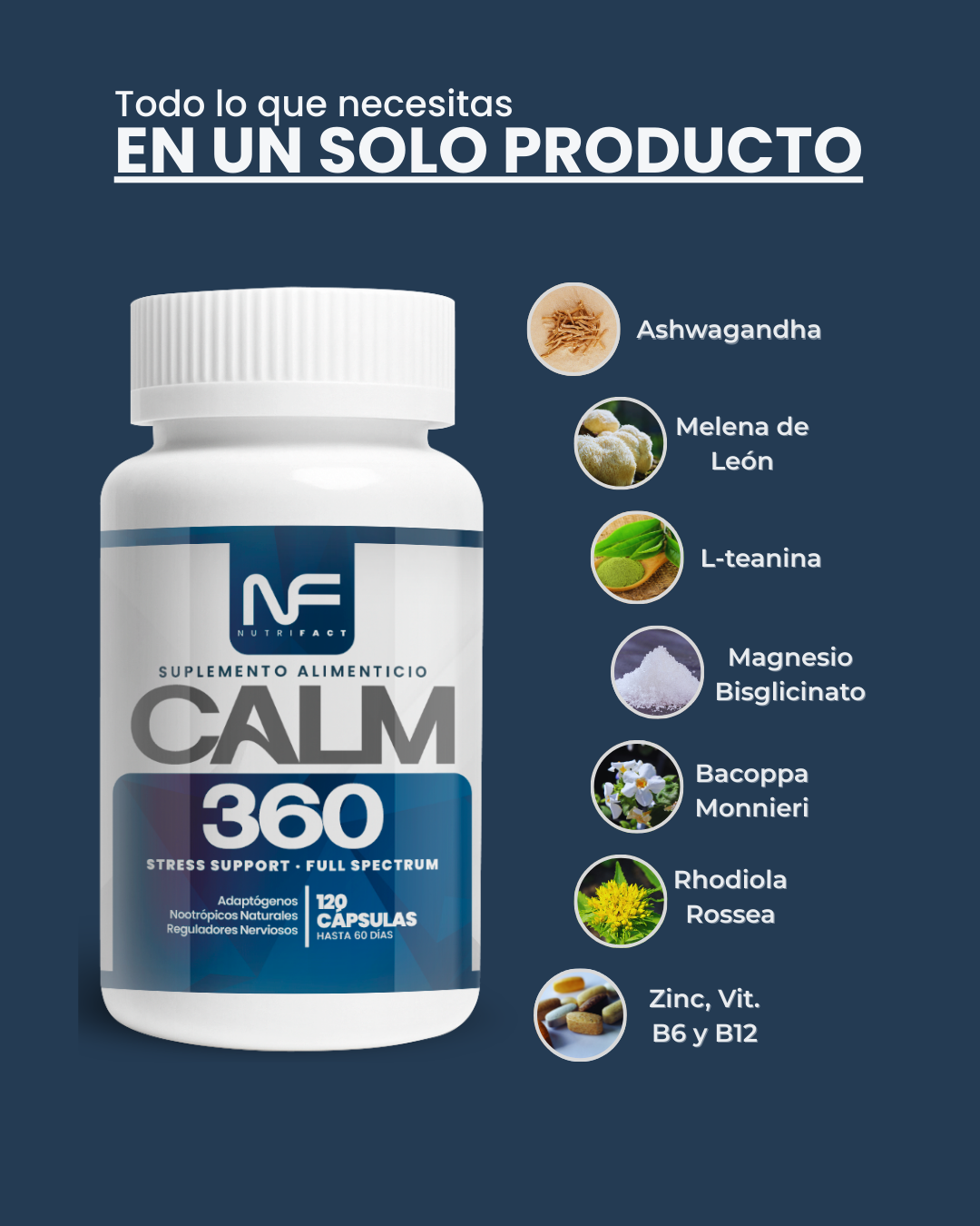 CALM 360