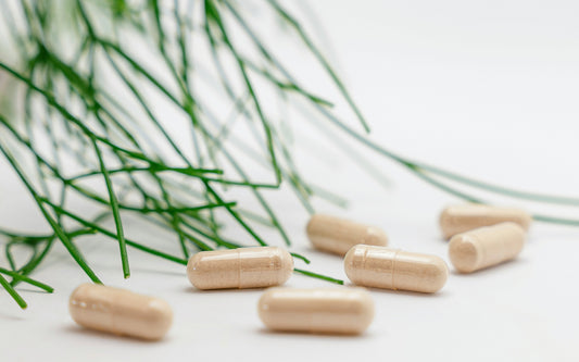 Ashwagandha: el adaptógeno más estudiado para el estrés y el sueño
