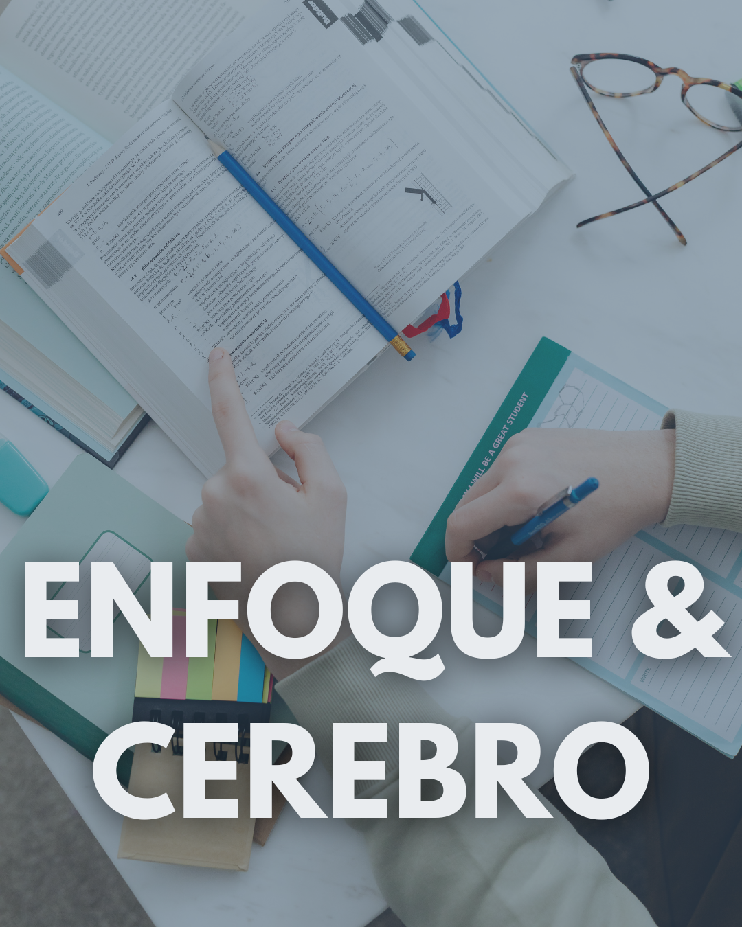 Enfoque & Cerebro