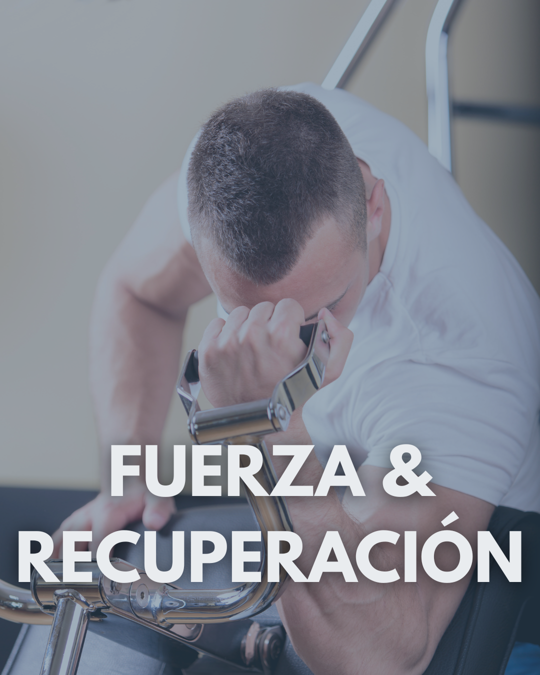 Fuerza y Recuperación