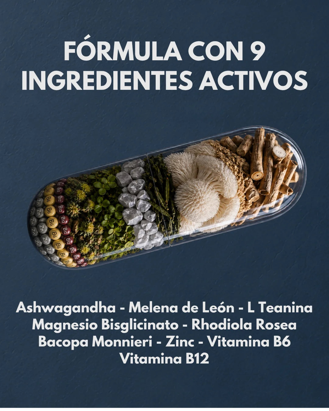 CALM 360 Formula Anti Estres