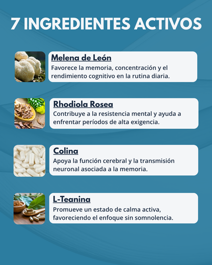 BRAIN 360 l Fórmula Cerebral l 120 Cáps