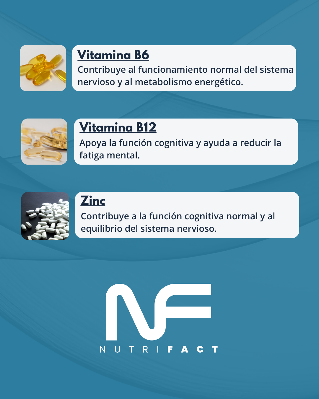 BRAIN 360 l Fórmula Cerebral l 120 Cáps