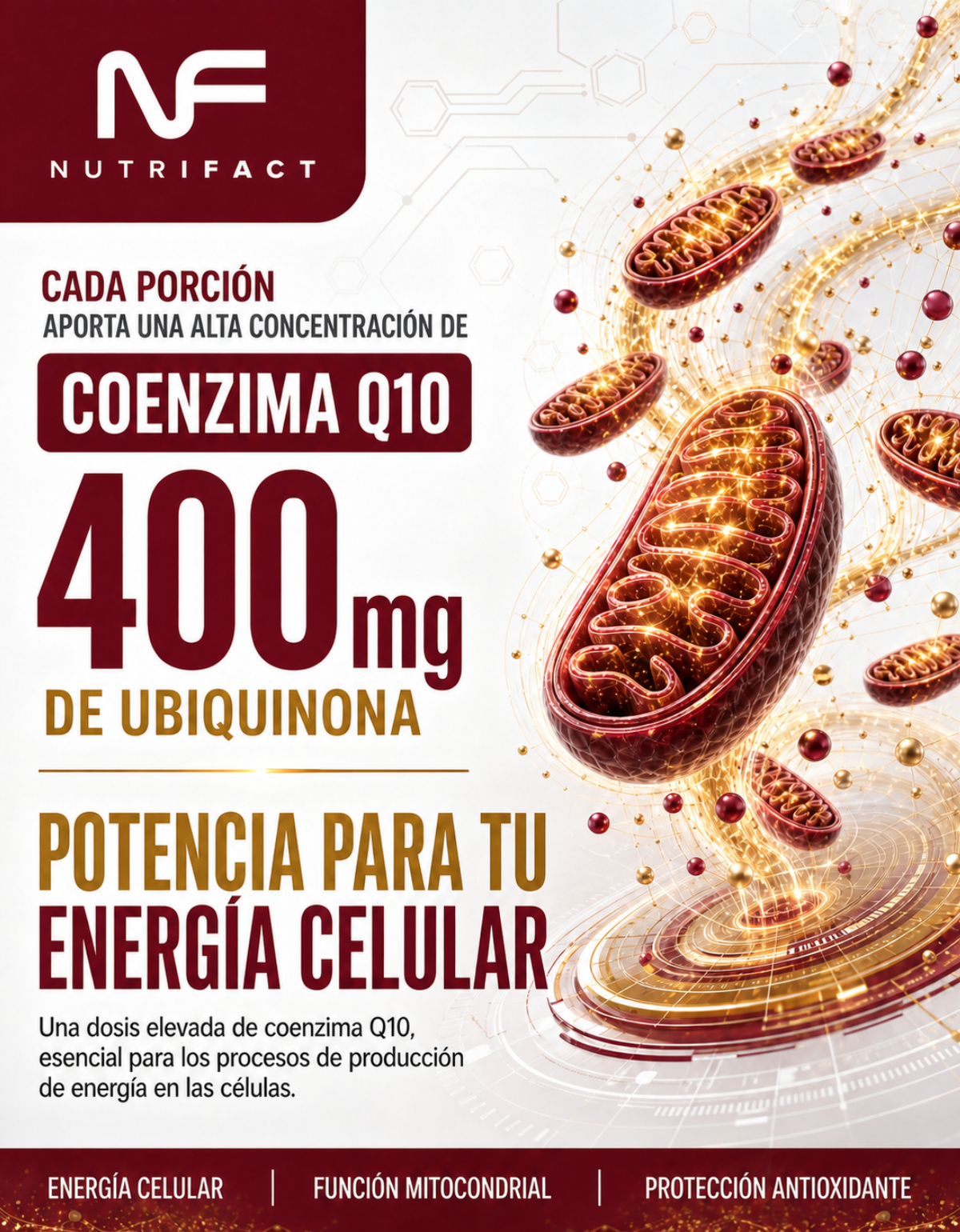 Coenzima Q10 400mg l 120 Cáps