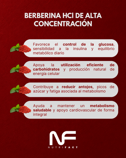 Berberina Forte 1000 Metabolismo y Glucosa Estable l 120 Cáps