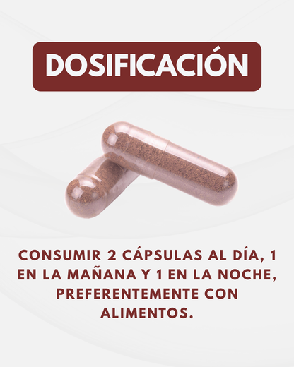 Reishi VITALSHIELD 1000