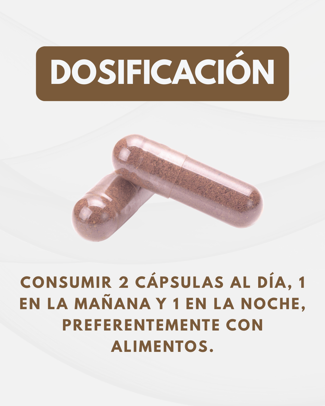 Melena de León NEUROBOOST 1000