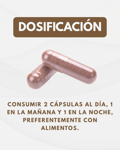 Melena de León NEUROBOOST 1000