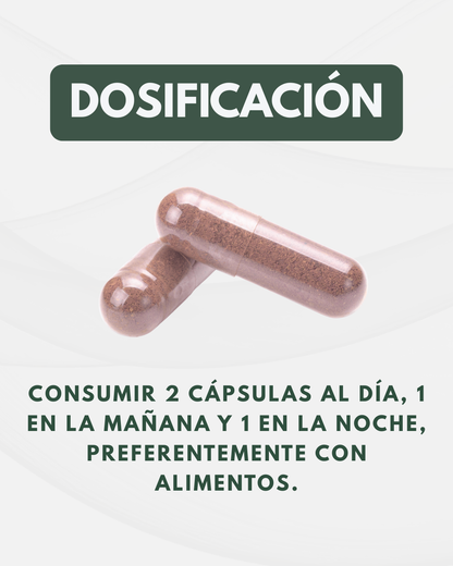 Ashwagandha KSM-POWER 900