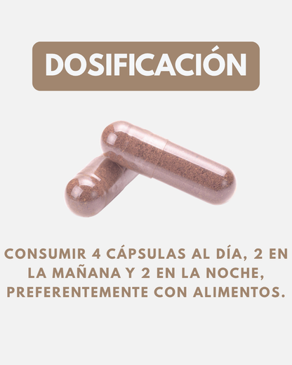 FUNGI COMPLEX Full Spectrum l 120 Cáps