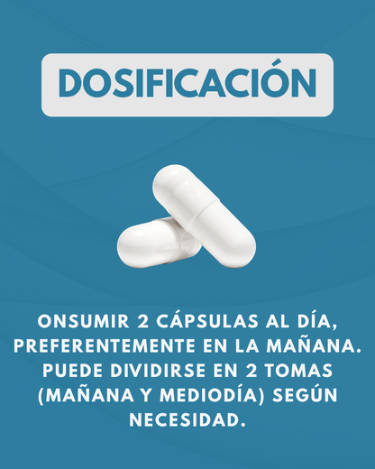 BRAIN 360 l Fórmula Cerebral l 120 Cáps